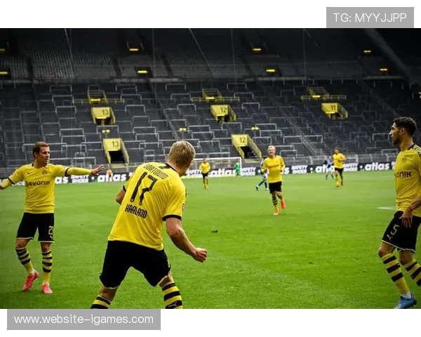 德甲争冠格局从一枝独秀到双雄并立，竞争激烈度提升