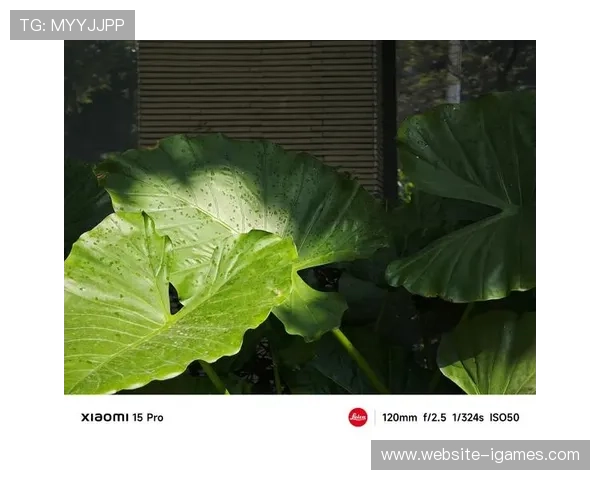 实时HDR转换算法优化，跨设备画质统一性增强